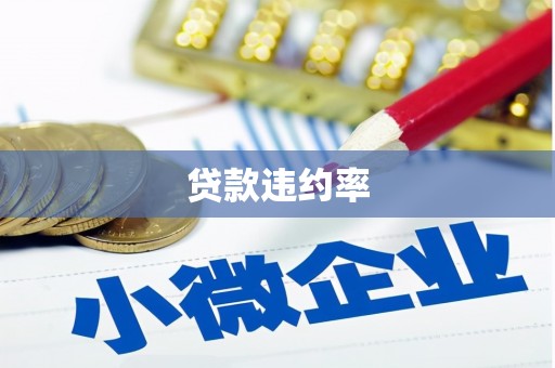 徽州贷款违约率