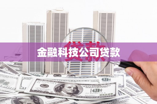 徽州金融科技公司贷款