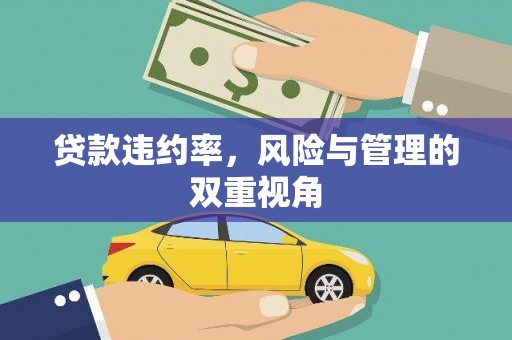 徽州贷款违约率，风险与管理的双重视角