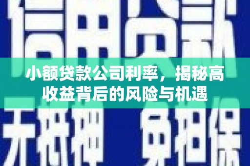 徽州小额贷款公司利率，揭秘高收益背后的风险与机遇