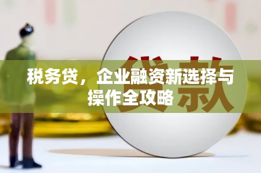 徽州税务贷，企业融资新选择与操作全攻略