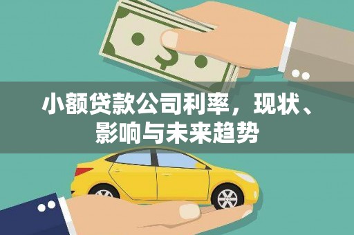 徽州小额贷款公司利率，现状、影响与未来趋势