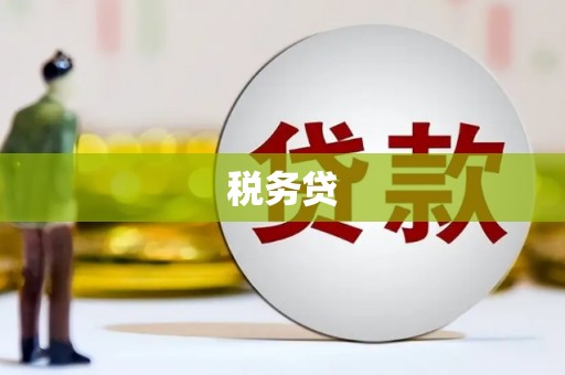 徽州税务贷