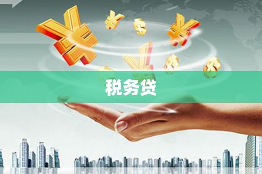 徽州税务贷