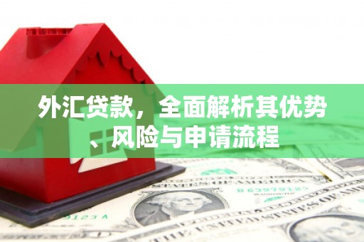 徽州外汇贷款，全面解析其优势、风险与申请流程