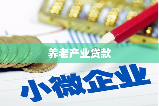徽州养老产业贷款