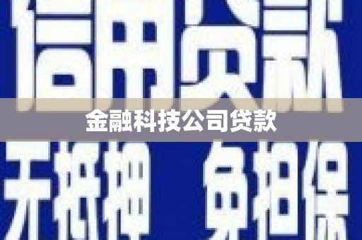 徽州金融科技公司贷款
