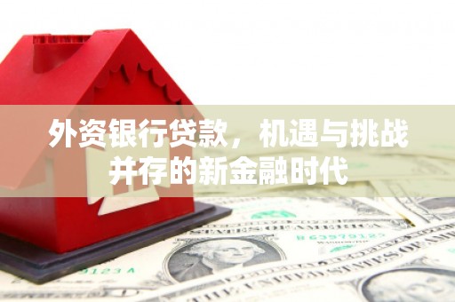 徽州外资银行贷款，机遇与挑战并存的新金融时代