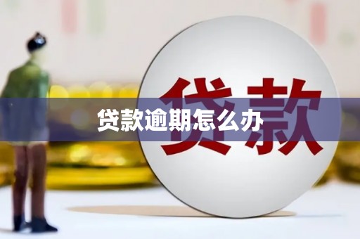 徽州贷款逾期怎么办