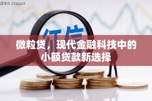 徽州微粒贷，现代金融科技中的小额贷款新选择