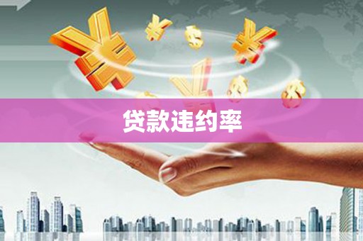 徽州贷款违约率