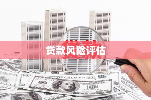 徽州贷款风险评估