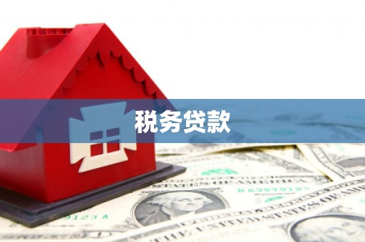 徽州税务贷款