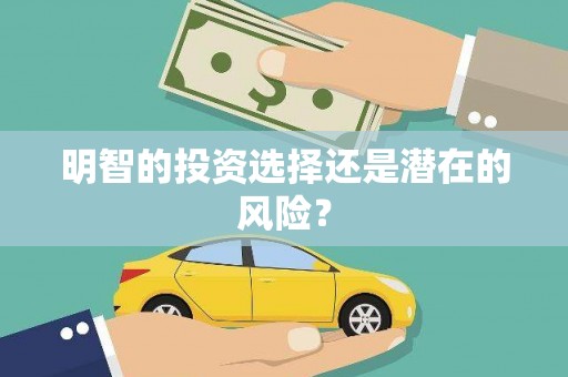 徽州明智的投资选择还是潜在的风险？