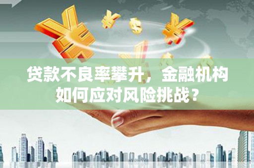 徽州贷款不良率攀升，金融机构如何应对风险挑战？