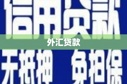 徽州外汇贷款