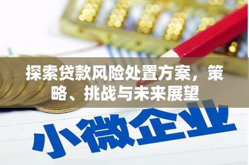 徽州探索贷款风险处置方案，策略、挑战与未来展望