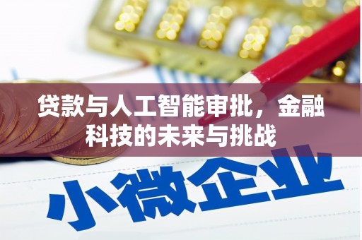 徽州贷款与人工智能审批，金融科技的未来与挑战