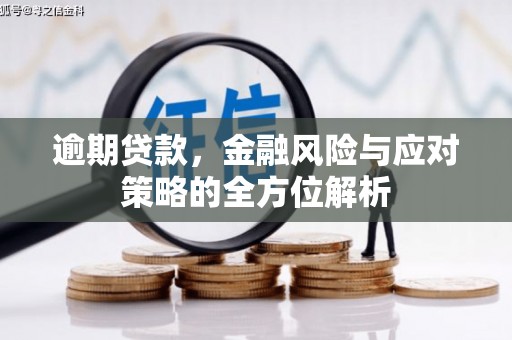 徽州逾期贷款，金融风险与应对策略的全方位解析