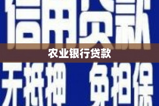 徽州农业银行贷款