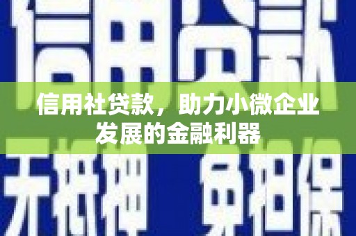 徽州信用社贷款，助力小微企业发展的金融利器