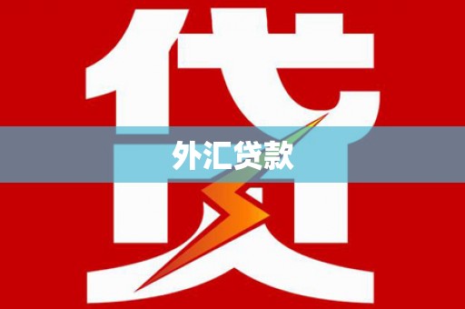 徽州外汇贷款