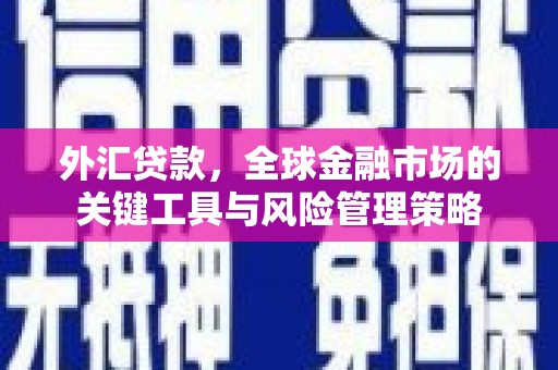徽州外汇贷款，全球金融市场的关键工具与风险管理策略
