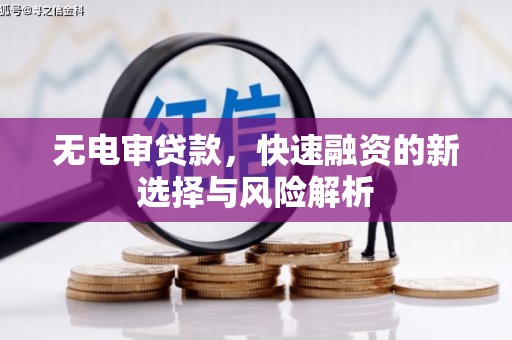徽州无电审贷款，快速融资的新选择与风险解析
