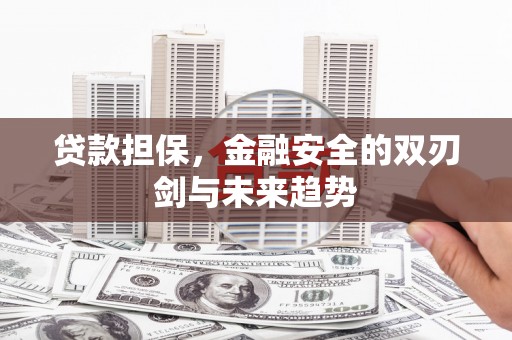徽州贷款担保，金融安全的双刃剑与未来趋势
