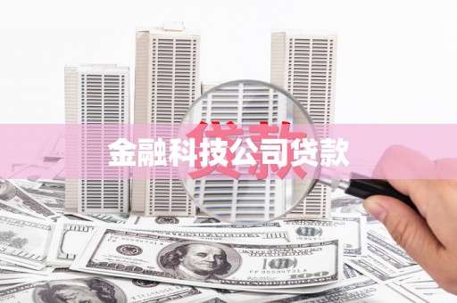 徽州金融科技公司贷款
