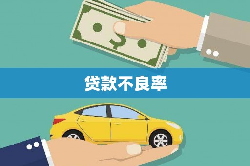 徽州贷款不良率