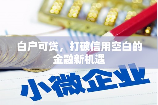 徽州白户可贷，打破信用空白的金融新机遇