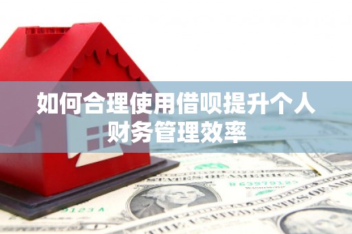 徽州如何合理使用借呗提升个人财务管理效率