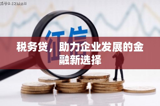 徽州税务贷，助力企业发展的金融新选择