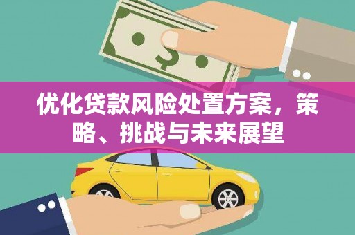 徽州优化贷款风险处置方案，策略、挑战与未来展望