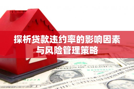 徽州探析贷款违约率的影响因素与风险管理策略