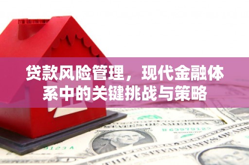 徽州贷款风险管理，现代金融体系中的关键挑战与策略