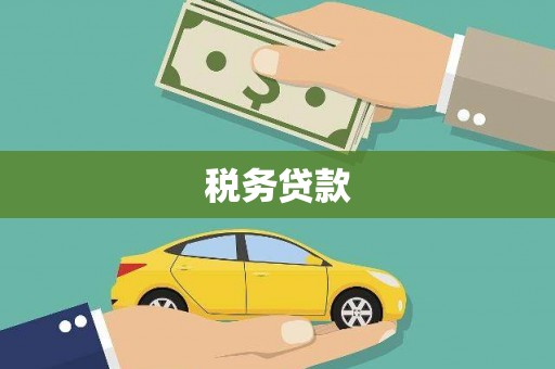 徽州税务贷款