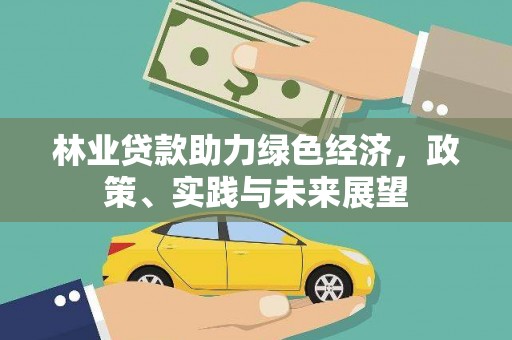 徽州林业贷款助力绿色经济，政策、实践与未来展望