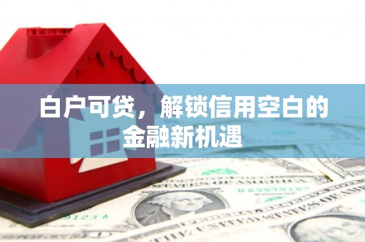 徽州白户可贷，解锁信用空白的金融新机遇