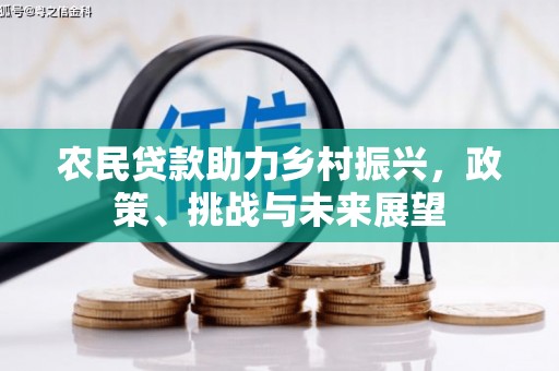 徽州农民贷款助力乡村振兴，政策、挑战与未来展望