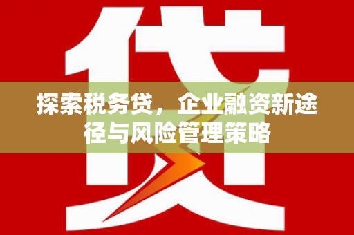 徽州探索税务贷，企业融资新途径与风险管理策略