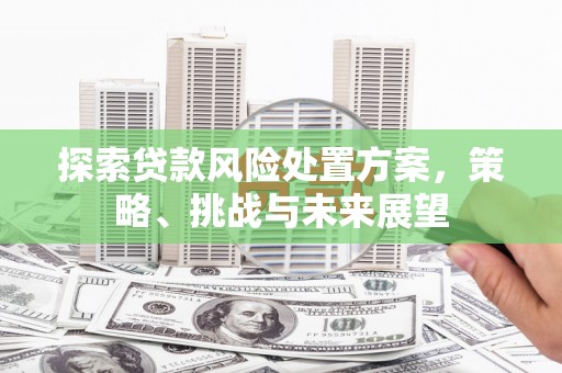 徽州探索贷款风险处置方案，策略、挑战与未来展望