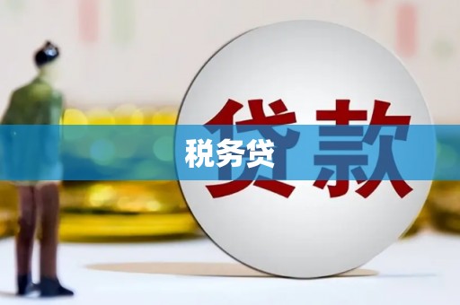 徽州税务贷