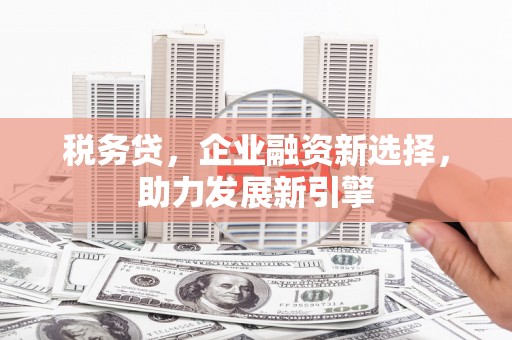 徽州税务贷，企业融资新选择，助力发展新引擎