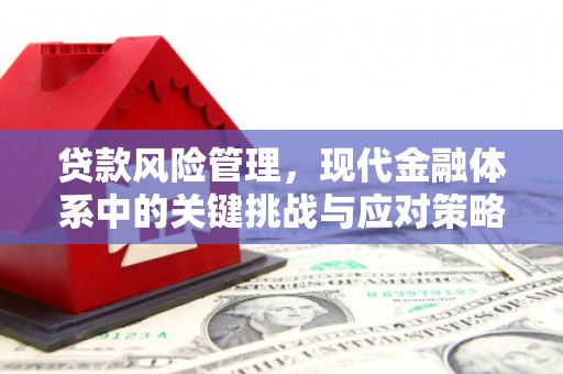 徽州贷款风险管理，现代金融体系中的关键挑战与应对策略