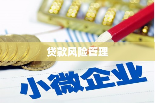 徽州贷款风险管理