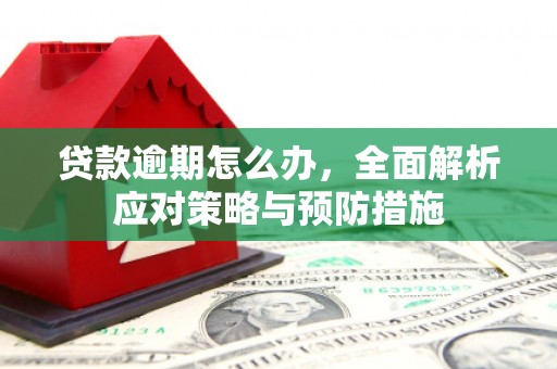 徽州贷款逾期怎么办，全面解析应对策略与预防措施