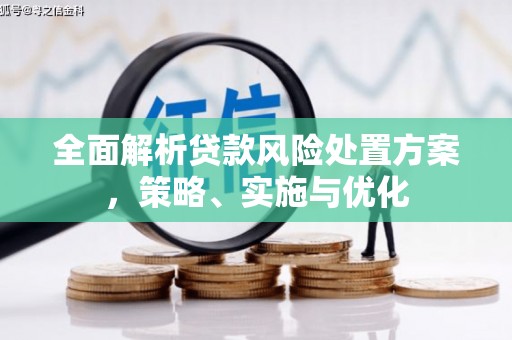徽州全面解析贷款风险处置方案，策略、实施与优化