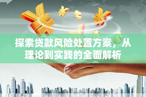 徽州探索贷款风险处置方案，从理论到实践的全面解析